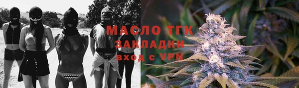 дживик Бронницы