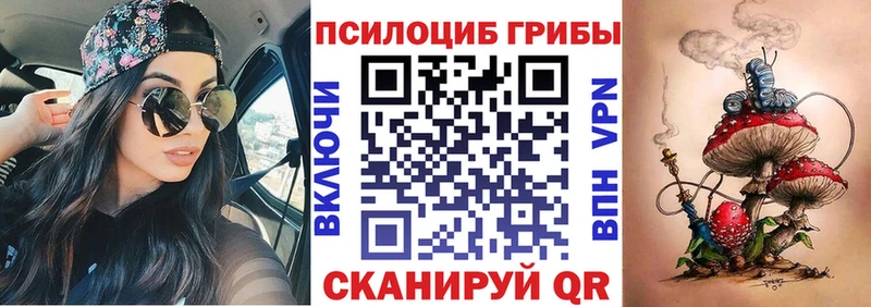 Купить где  Красноперекопск  Псилоцибиновые грибы мухоморы 